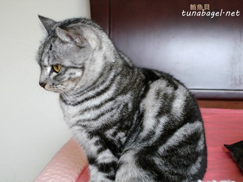 DSC06169.JPG
