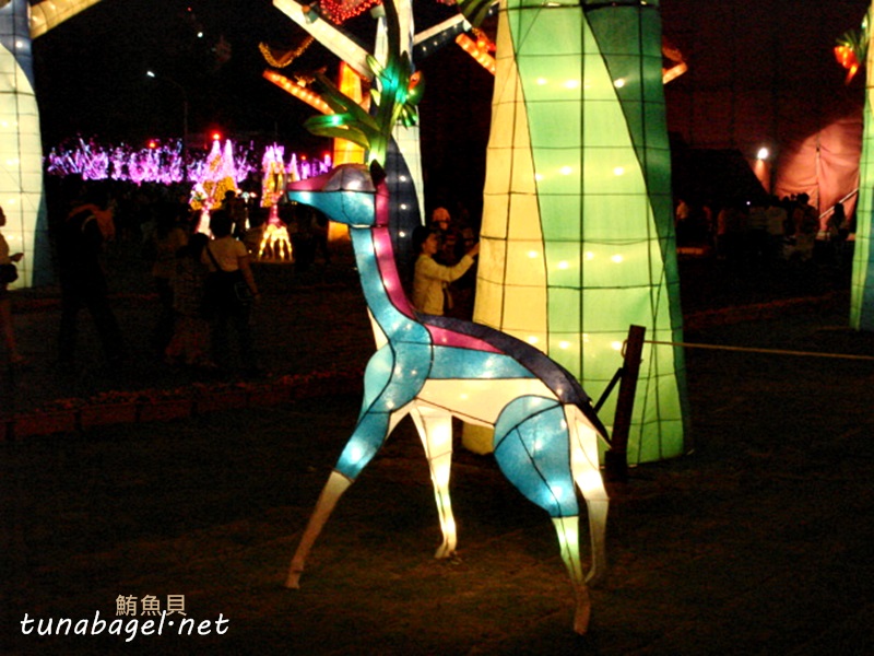 DSC06249.JPG