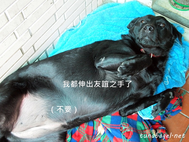 6ea3eb278071e78697f217d303b5ed8f