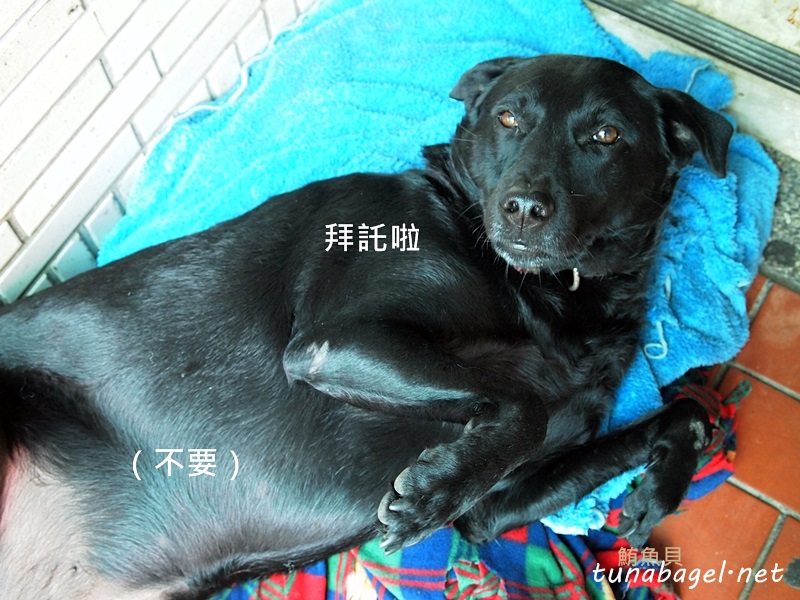 dcd99d769b2462b1dfcc178a5f5e283a