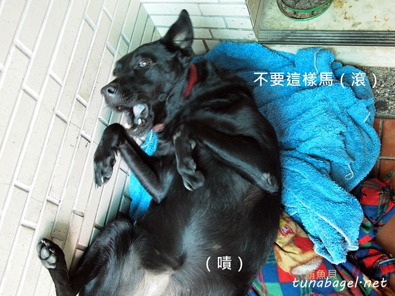 93faf0639d8ea9a93f0a1c68ca7bb36f