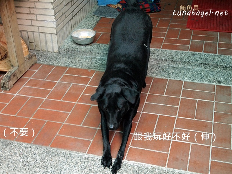 9c10e05a7605ea310bcd712e4b776350