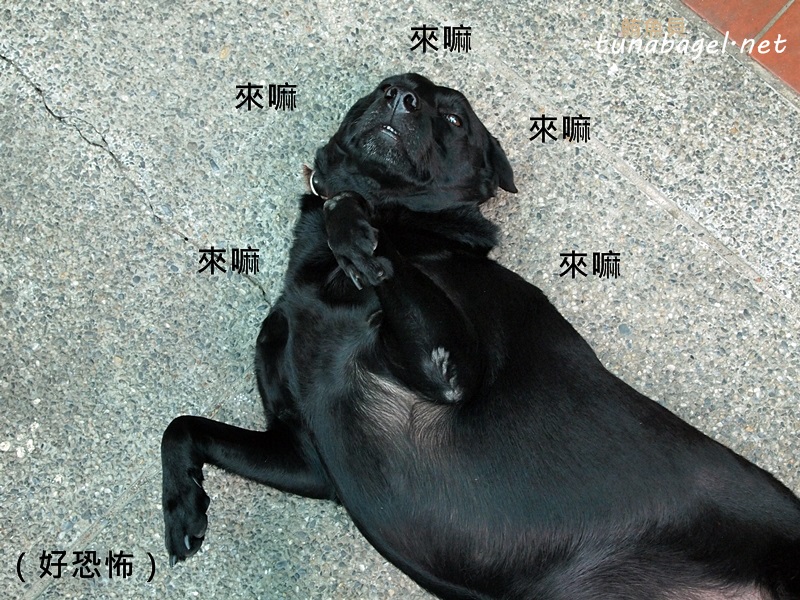 9bfb3274dce03ef332f00185011be0f3