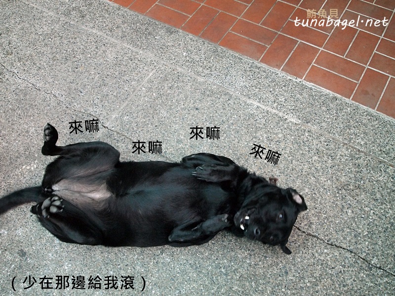 27dede5e47a6bcfb6140b72731a2e3a5