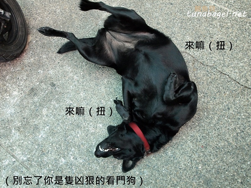 d0f5ac14f0c98bf76ccefbe0863aacf9