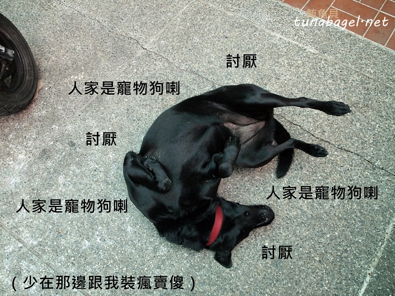 b3ad85378576a27c9fcbf09feca9bbd0