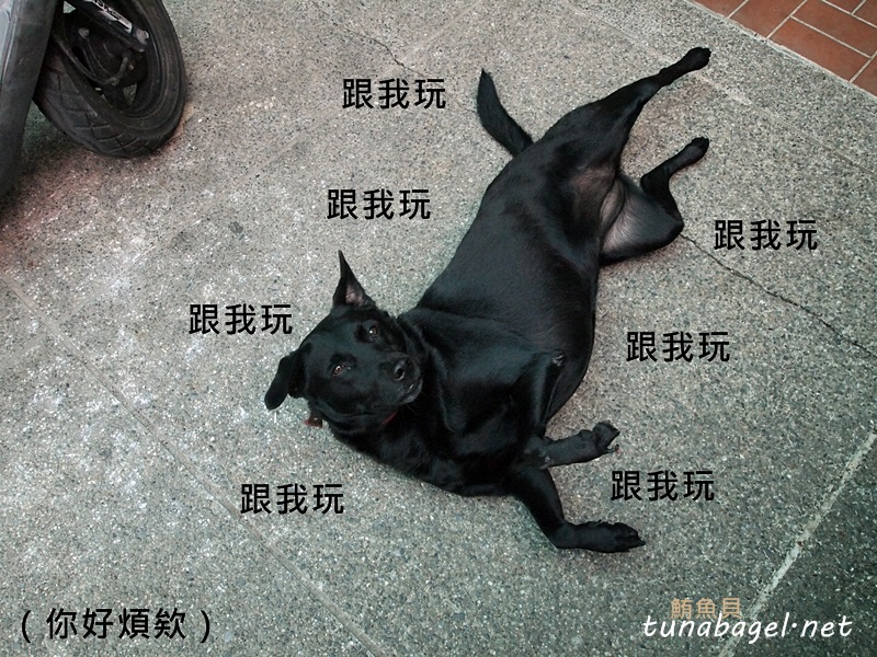 fd83bb177998813b106a72463a8bc413