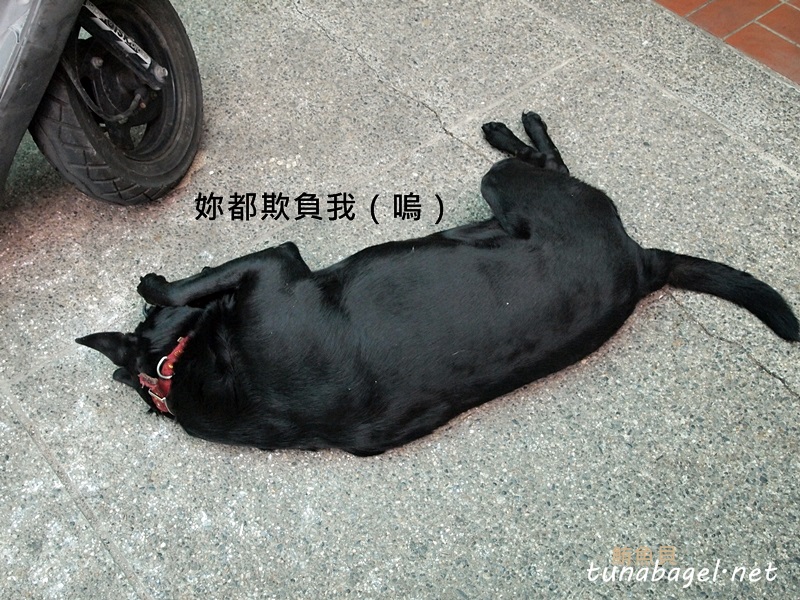 9ff36a051608d65f5d19b7a332b18d52