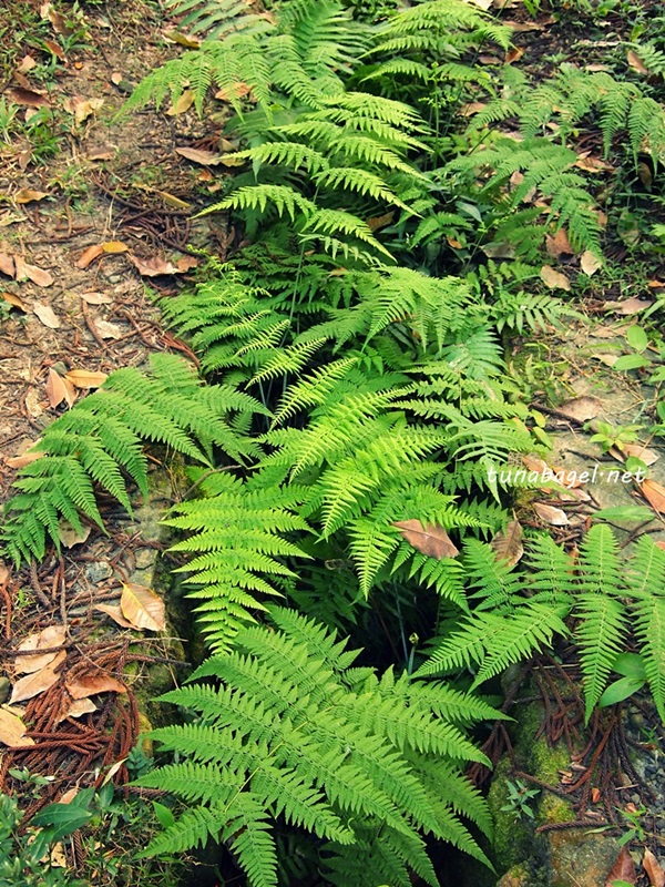 P2024114