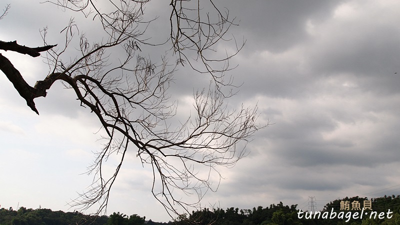 P7037840.jpg